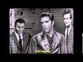 Elvis Presley - Too Much (legendado)