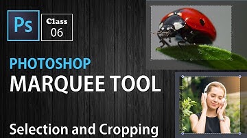 Marquee tool - Adobe Photoshop for Beginners in Urdu/Hindi - Class 6