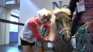 Therapy horse visits kids at Nemours screenshot 4
