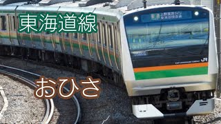 【おつまみ動画】久々の東海道線熱海行。(JR東日本 東海道線小田原駅〜根府川駅)02/06/01