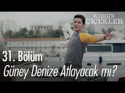 Güney denize atlayacak mı? - Kırgın Çiçekler 31. Bölüm