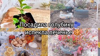 видео: Осенние хлопаты 🌿🍁🍂 картинка: Осенние хлопаты 🌿🍁🍂