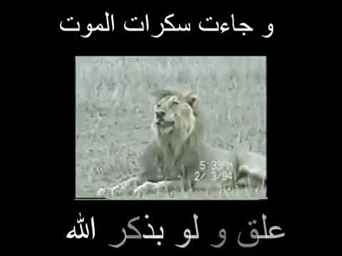 شكرا الموت 