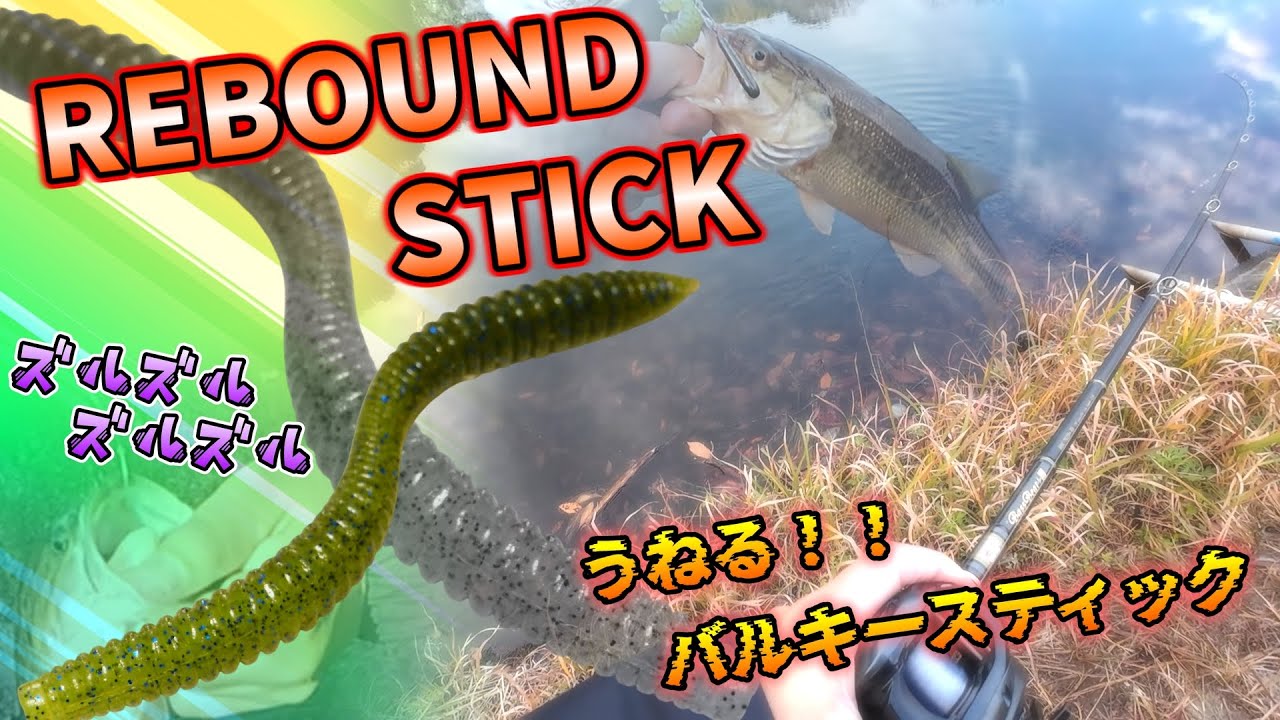 【バス釣り】これしかない！DEPSのリバウンドスティックを使って野池攻略！リバウンドスティックは、よく釣れる！今回は、あの方と一緒に！スキッピングの威力恐るべし【Black Bass】【野池バス釣り】