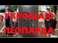 VLOG #19  Осень в черно- белых тонах. Превращаем "рабочий" комбинезон  в "гламурный".