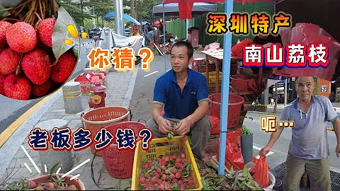 深圳| 长岭陂买南山荔枝 西丽大学城 塘朗山郊野公园 梅林绿道  | 粤语旁白 国语字幕 - 天天要闻