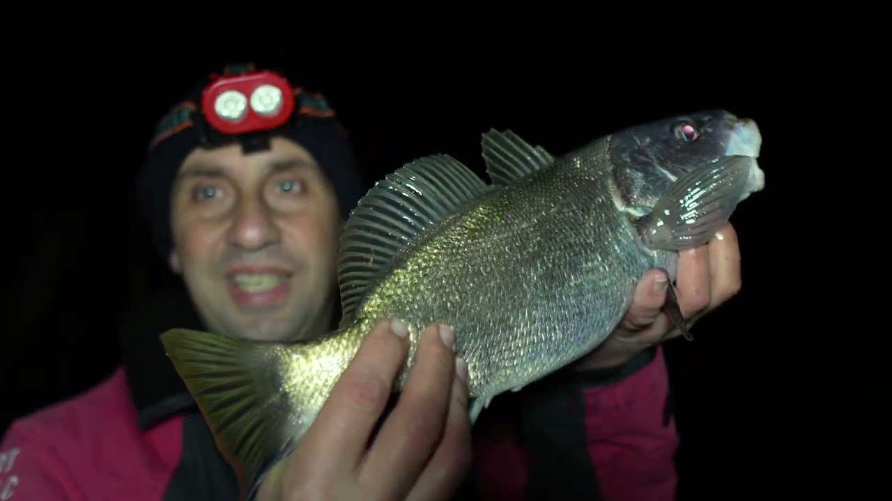 SURFROCKCASTING/ΣΥΚΙΟΣ/ΣΠΑΝΙΟ ΨΑΡΙ ΣΤΙΣ ΜΕΡΕΣ ΜΑΣ/ΑΚΡΟΒΑΤΗΣ ΕΚΑΝΕ ΤΗΝ ΔΟΥΛΕΙΑ