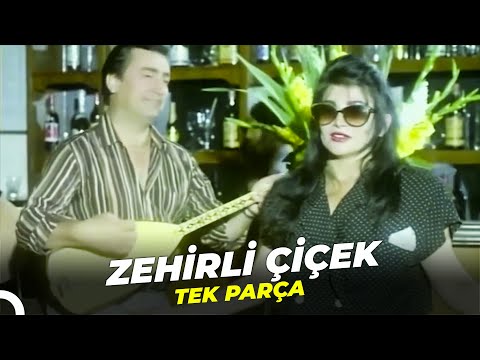 Zehirli Çiçek | Eski Türk Filmi Full İzle