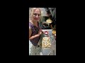 Dumplings July 15