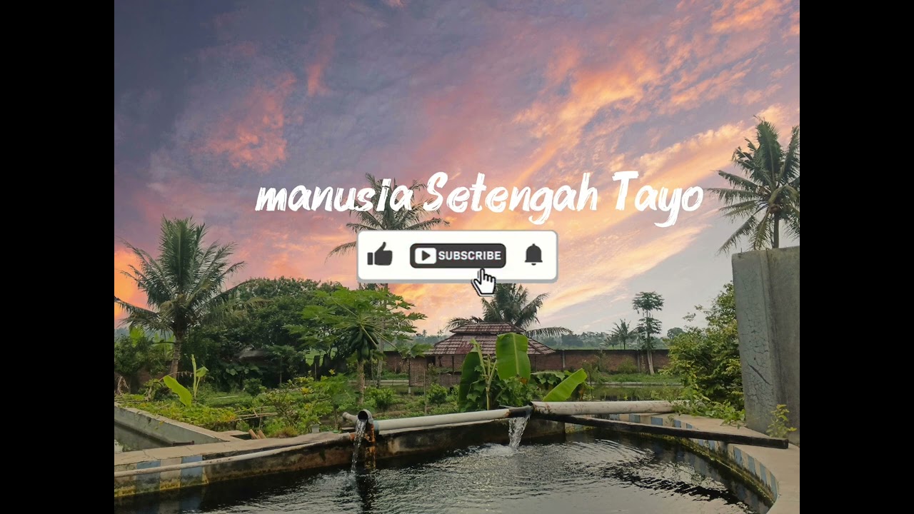 Jaran Goyang - (musical RAP) | manusia Setengah Tayo