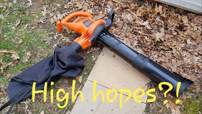 My Black + Decker Leaf Vacuum Trial 