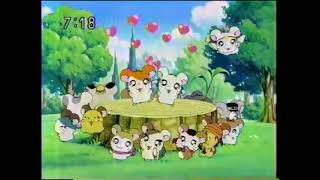 Gbaとっとこハム太郎3 ラブラブ大冒険でちゅ Hamtaro Ham-Ham Heartbreak Cm 20020531