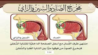 مَخْرَجُ الصَّادِ والسِّيْنِ والزَّاي / أ.د أَيْمَن رُشْدِي سُوَيْد