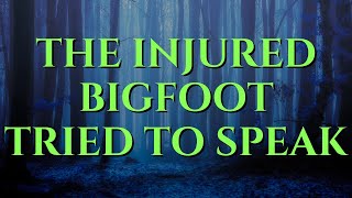 Injured Bigfoot Tries To Speak