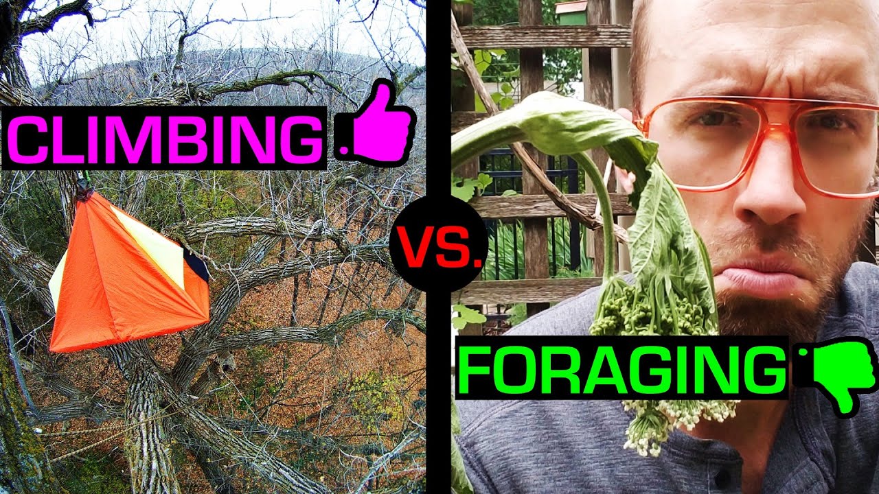 Tree Fool TREEfool SUCKS! ...Why no more tree camping videos? - YouTube