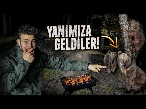 GECE YARISI MANGAL YAPTIK! ETİN KOKUSUNA BOZ AYI GELDİ!