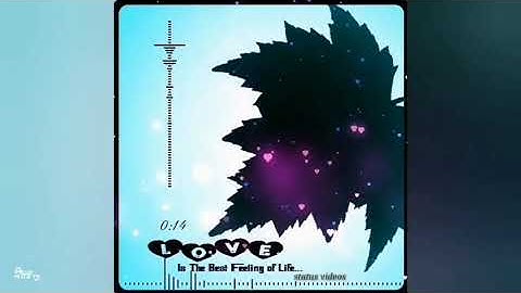 New Avee Player Template black Screen Video