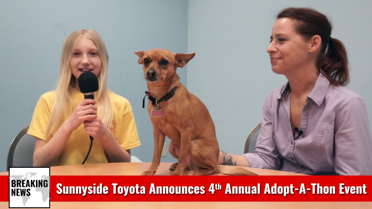 Sunnyside Toyota 2019 AdoptAThon Event Announcement YouTube