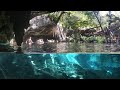 Cenotes of Tulum Mexico | Cancun Snorkeling