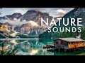 Music for sleep, relaxation, mediation, yoga | Nature sounds and wind chimes