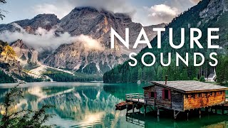 Music For Sleep, Relaxation, Mediation, Yoga | Nature Sounds And Wind Chimes