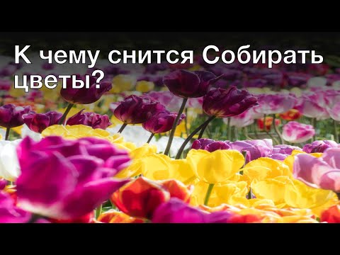 К чему снится собирать цветы? Толкование сна и его значение по сонникам Ванги и Фрейда