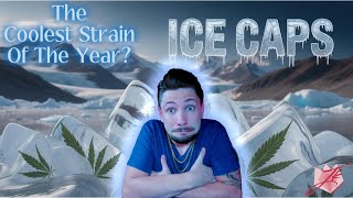 What Makes ICE CAPS So Special?