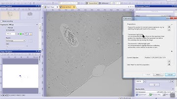 Cellsens DI V2.1 Shading Crrection Caliberation Bright Field MonoChrome Cmamera 95B