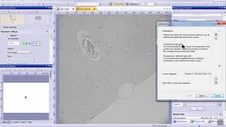 Cellsens DI V2.1 Shading Crrection Caliberation Bright Field MonoChrome Cmamera 95B