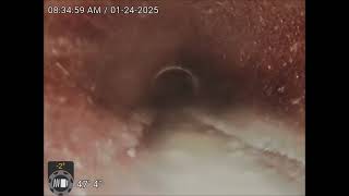 Josephine St Sewer