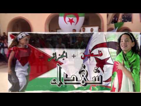 عين الريش 2017