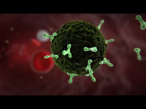 Cuáles son los diferentes tipos de enfermedades infecciosas?