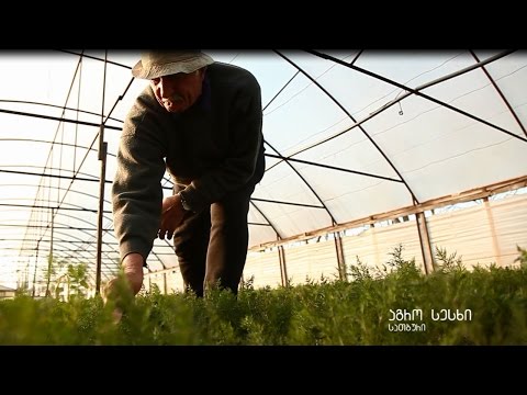 მებოსტნე ცოლ-ქმრის წარმატების ისტორია ლიბერთი ბანკთან ერთად