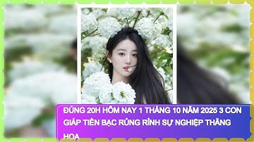 Đúng 20h hôm nay 1 tháng 10 năm 2025 3 con giáp tiền bạc rủng rỉnh sự nghiệp thăng hoa