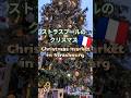 ストラスブール🇫🇷のクリスマス🎄【フランス最大】