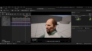 MeshToMetaHuman Animation Test
