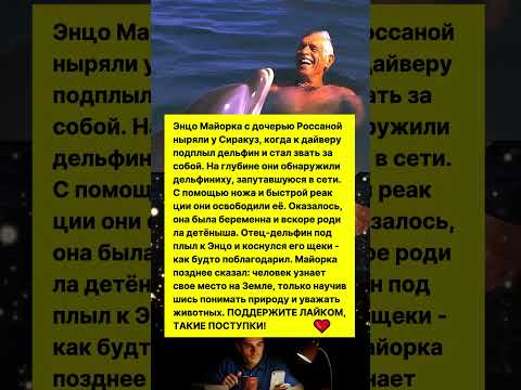 ТРОГАТЕЛЬНАЯ ИСТОРИЯ СПАСЕНИЯ ДЕЛЬФИНА! #история #животные #интересно