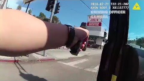 Police Officer Fired Shot That Killed Trader Joe