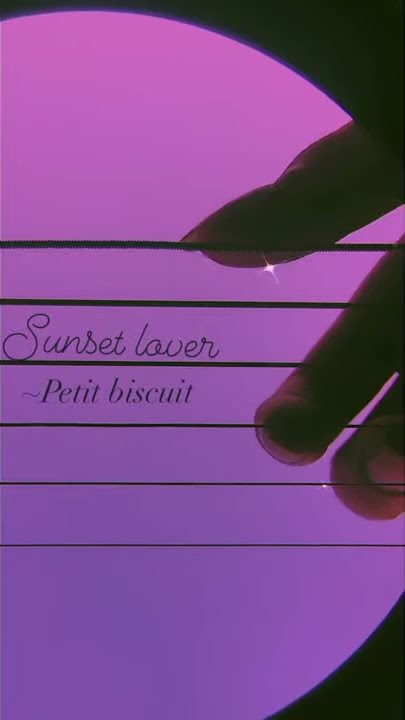 Sunset lover- Petit biscuit // Fingerstyle guitar cover
