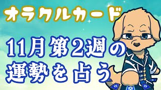 【週間占い】11月13日～19日の運勢を占います！/オラクルカード第22回【ケモノVtuber/星戌セン】