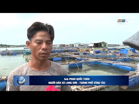 Video Bà Rịa - Vũng Tàu kiên quyết di dời lồng bè ngoài vùng... - youtube