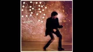 PETER WOLF 1984 pretty lady