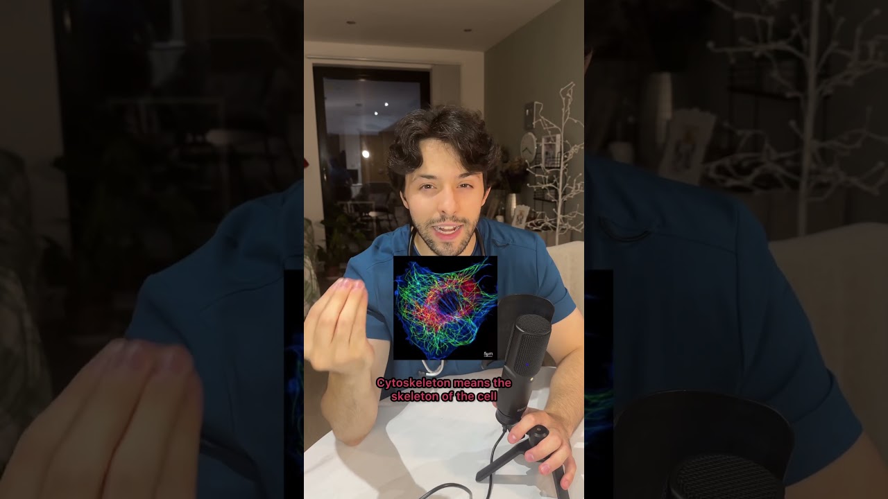 WHAT DO YOU KNOW ABOUT HEREDITARY SPHEROCYTOSIS???!!  Comment what anaemia we should talk about next