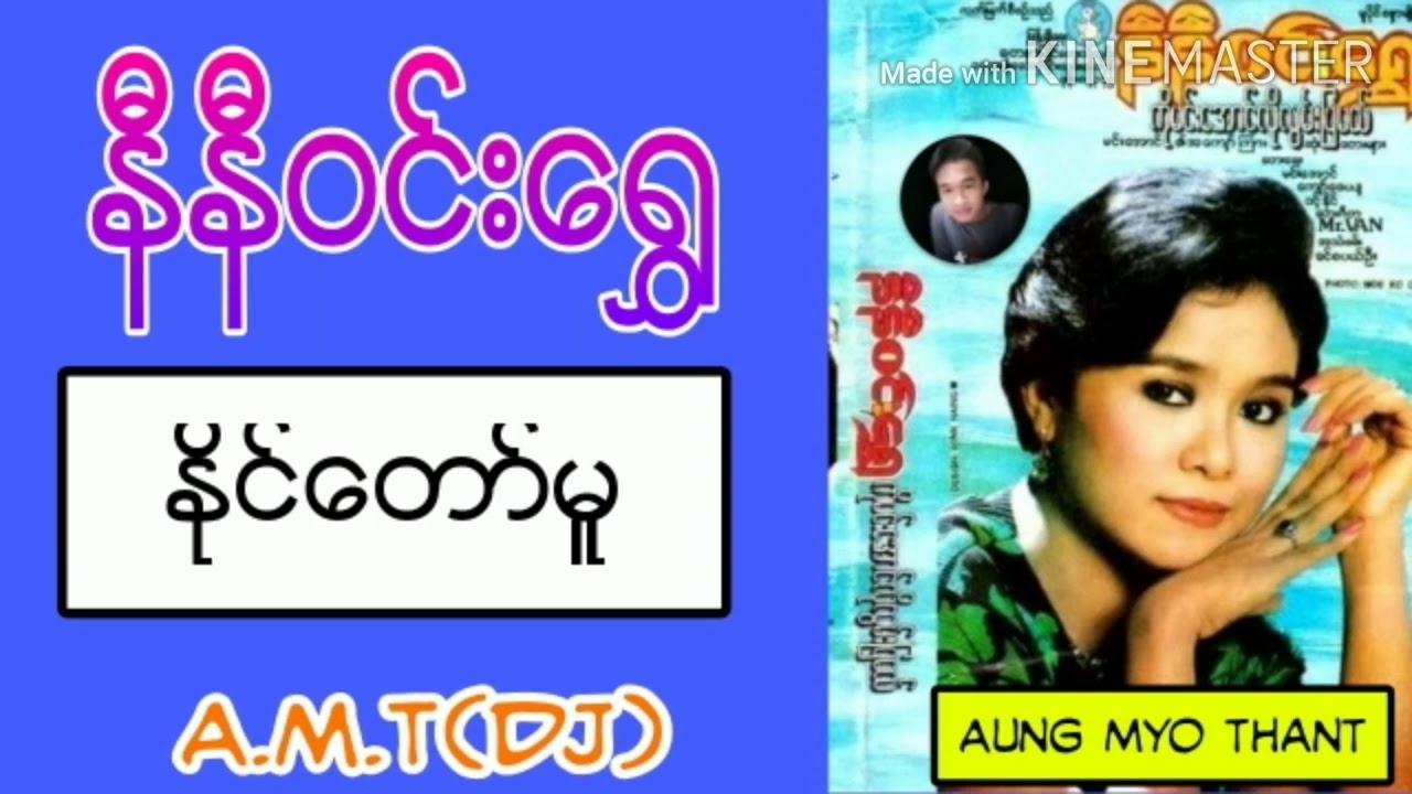 နိုင်တော်မူ - နီနီဝင်းရွှေ