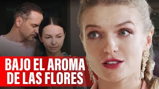 Bajo El Aroma De Las Flores Película Romántica Sobre El Amor