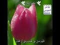 الله الله أجمل من مليووووووون اغنية اسمع وصلي على خير خلق الله صلى الله عليه وسلم