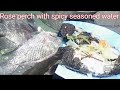 #Juniorlifestyleoffishing #spearfishing catch and roast perch fish with seasoned water