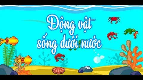 Động vật sống dưới nước- Tìm hiểu và khám phá.