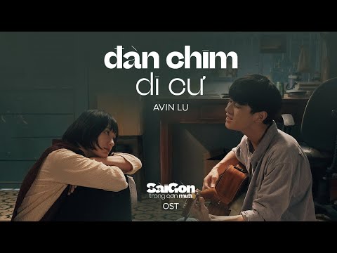 Video: Chim Di Cư Bay