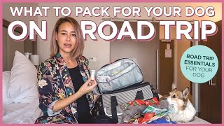 What To Pack For Your Dog on a Road Trip | PetAmi Dog Travel Bag Review